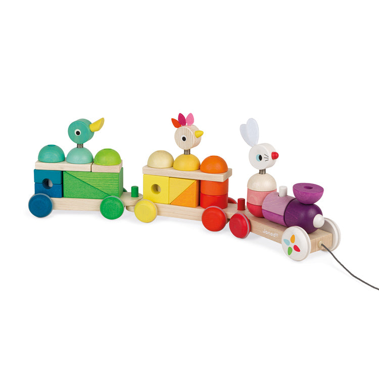 JANOD Pullalong - Multicolour Train - with Blocks