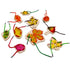 THE FRECKLED FROG - Threading Leaves - Wooden