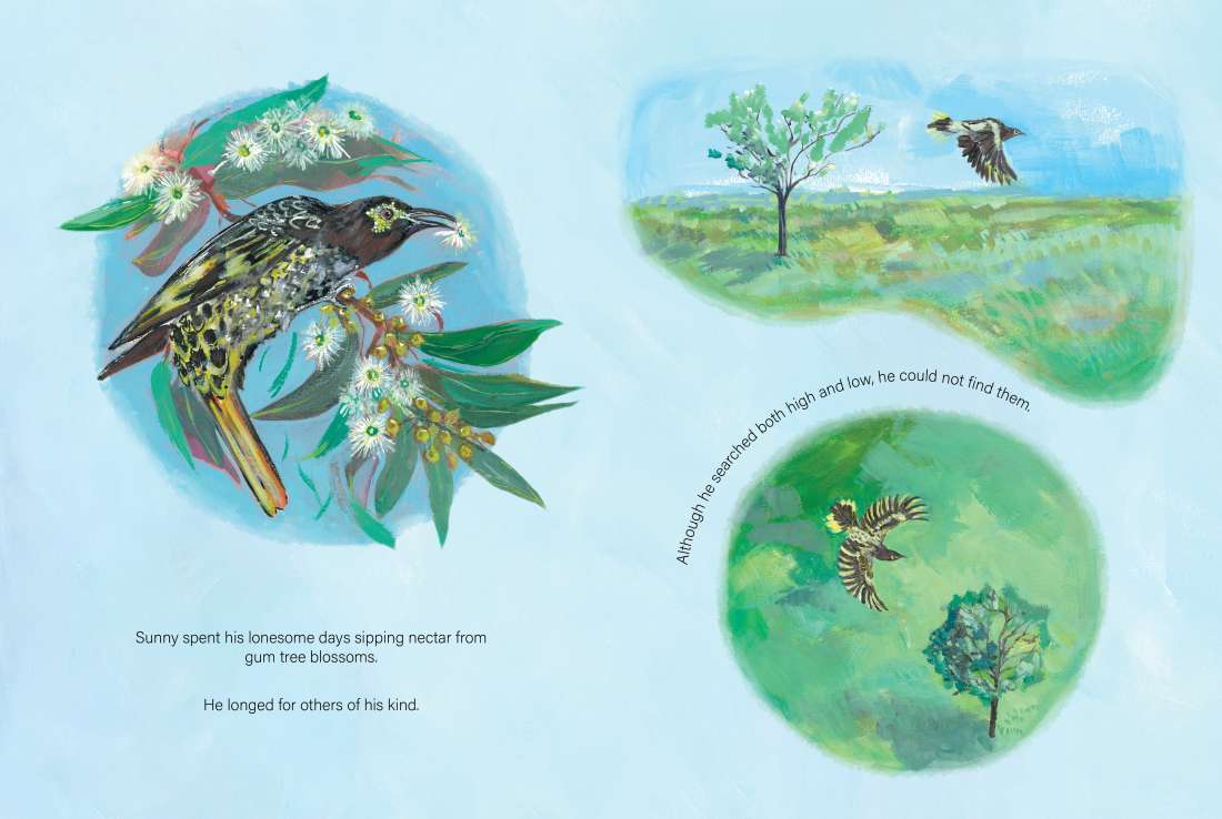 Sunny Finds His Song - Picture Book - Hardcover 