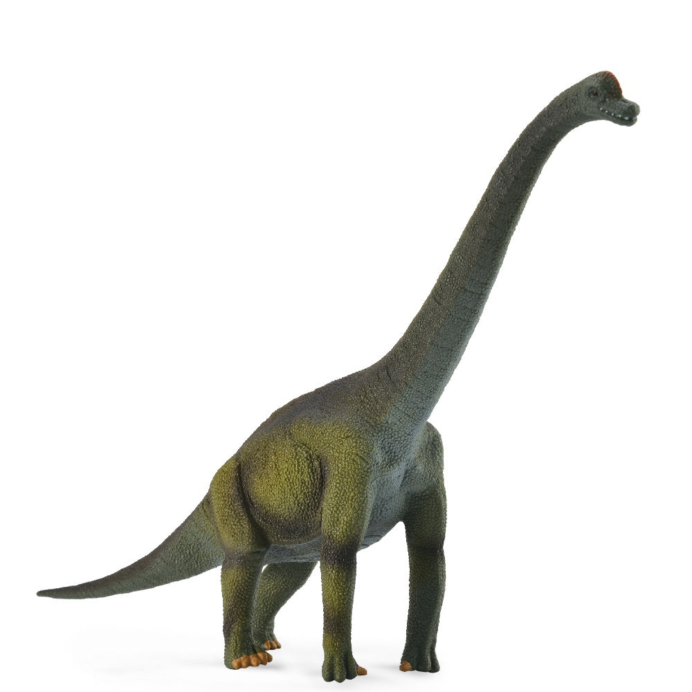 COLLECTA BRACHIOSAURUS L