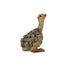 CollectA - Wildlife - Ostrich Chick