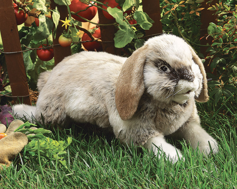 FOLKMANIS HAND PUPPETS Rabbit, Holland Lop