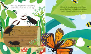Peep Inside Bug Homes - Board Book