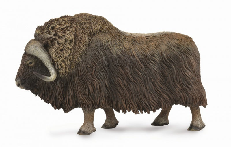 CollectA - Wildlife - Musk Ox