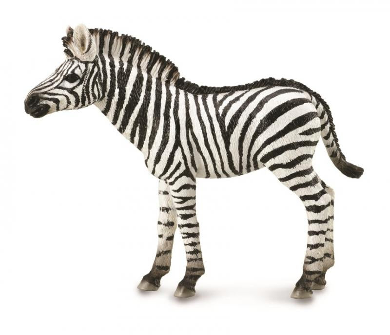 CollectA - Wildlife -  Zebra Foal