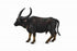 CollectA - Wildlife - Wild Water Buffalo