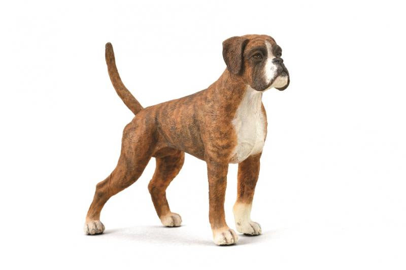 CollectA - Dog - Boxer