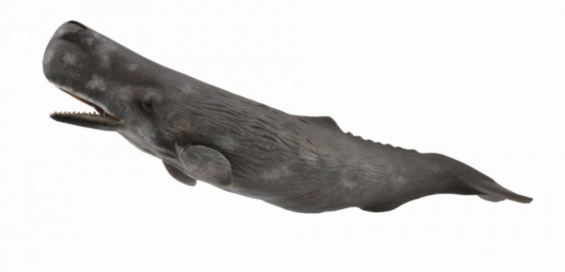 CollectA - Ocean - Sperm Whale