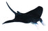 CollectA - Ocean - Manta Ray