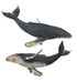 CollectA - Ocean - Humpback Whale