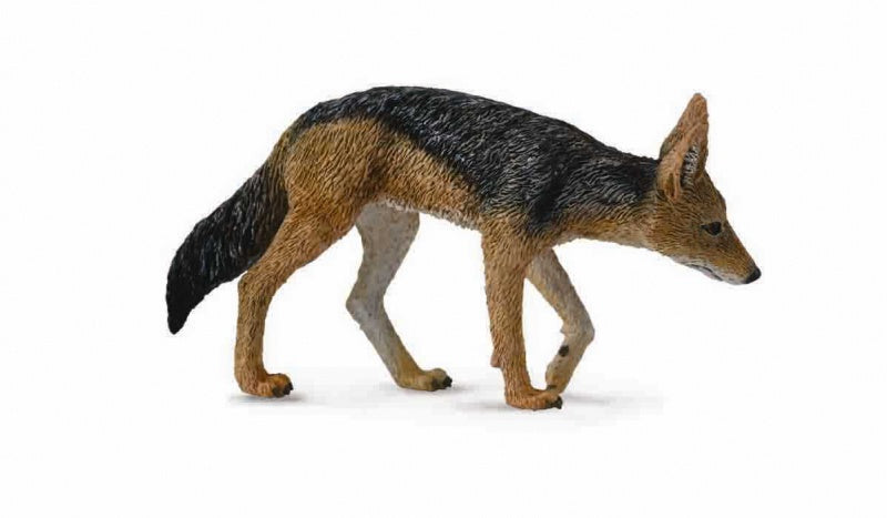 CollectA - Wildlife - Black-Backed Jackal