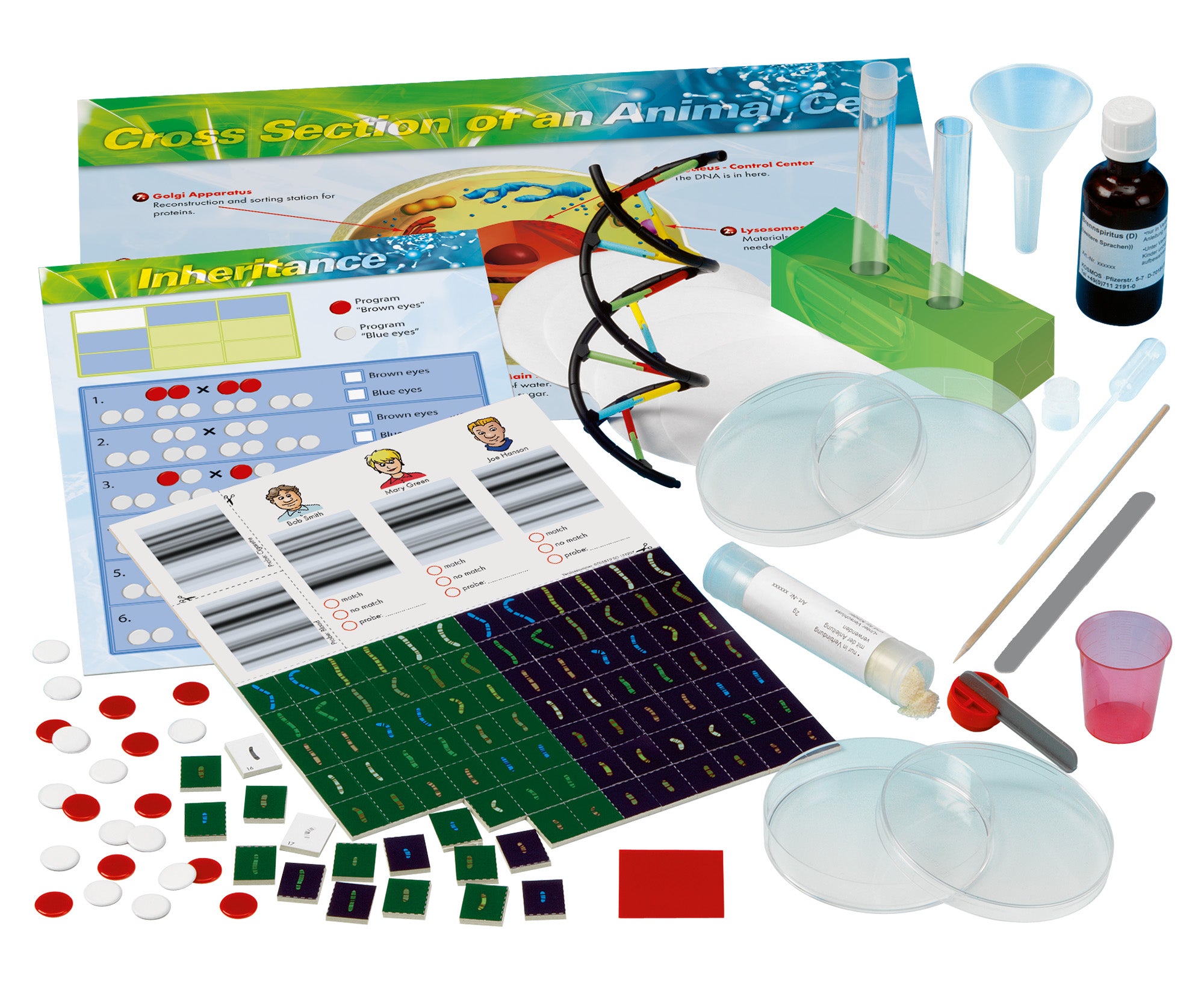 THAMES AND KOSMOS Genetics & DNA Lab