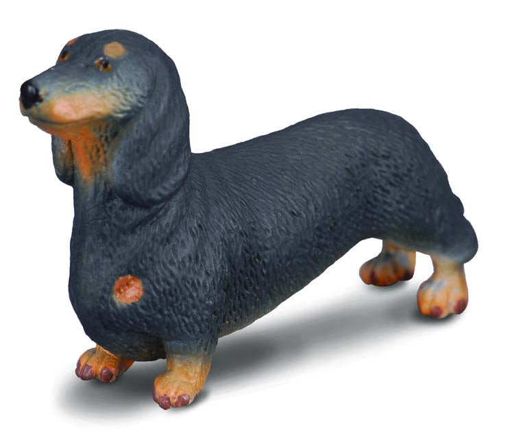 CollectA - Dog - Dachshund