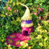 PAPOOSE - Fairy House - Blueberry - Felt