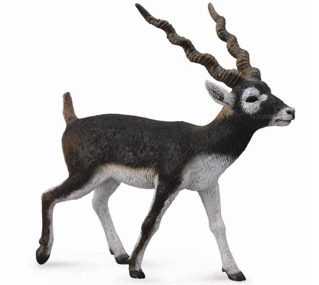 CollectA - Wildlife - Blackbuck