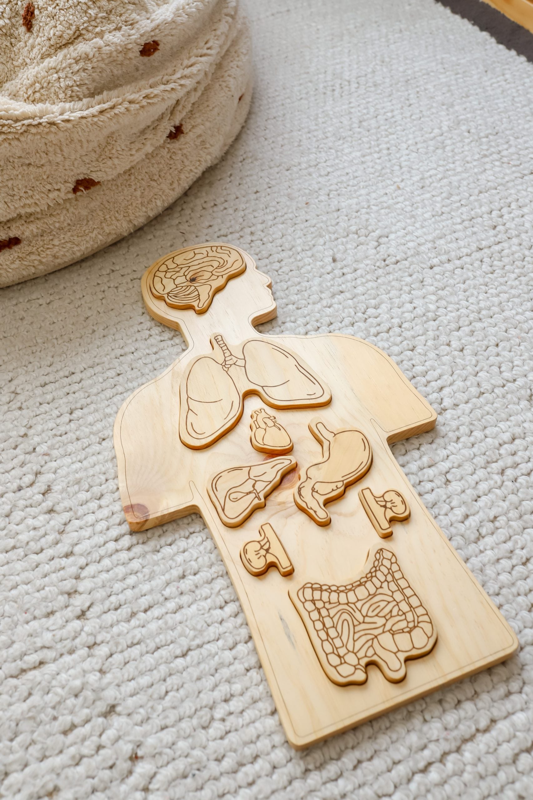 Qtoys - Anatomy Puzzle - Large Wooden