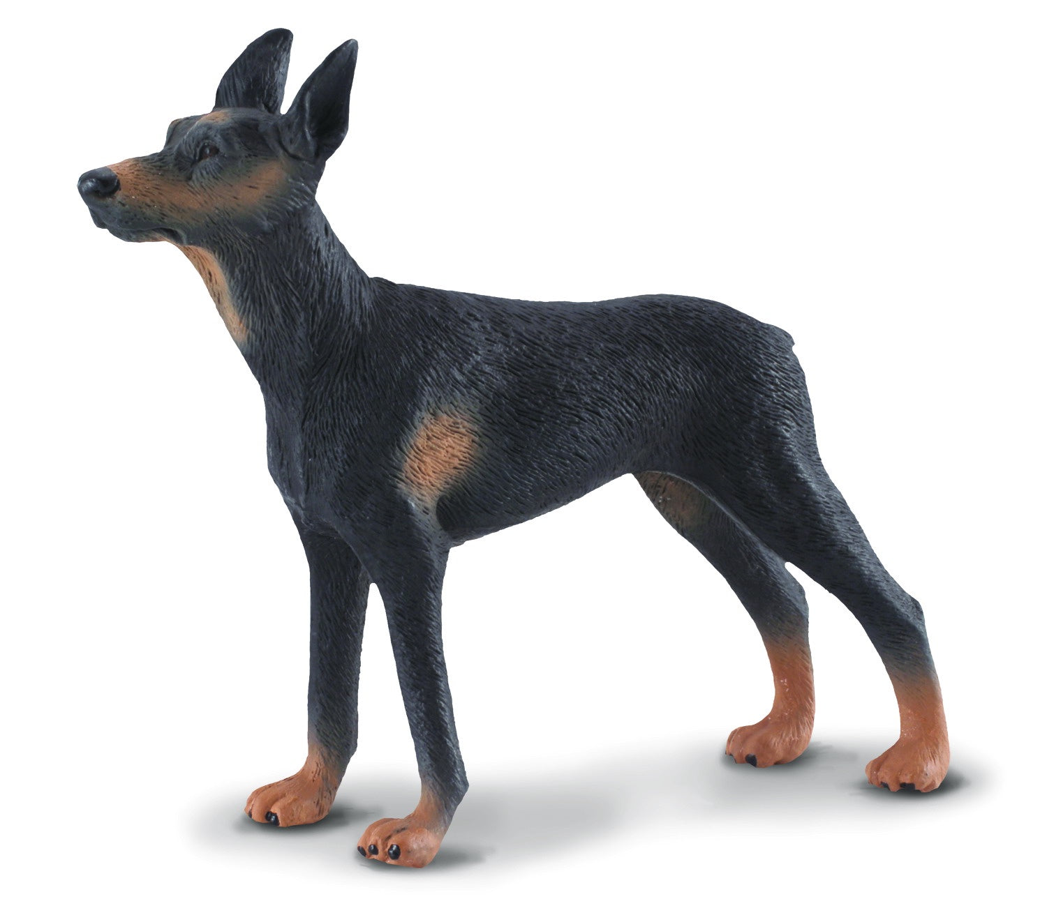 CollectA - Dog - Doberman Pinscher