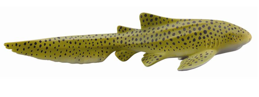 CollectA - Ocean - Zebra Shark