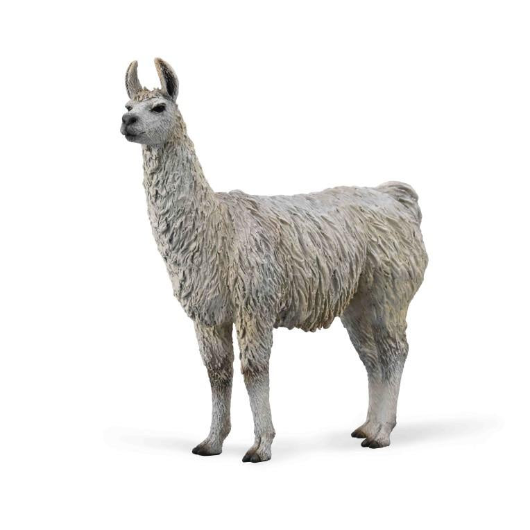 CollectA - LLama