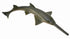 CollectA - Ocean -  Sawfish