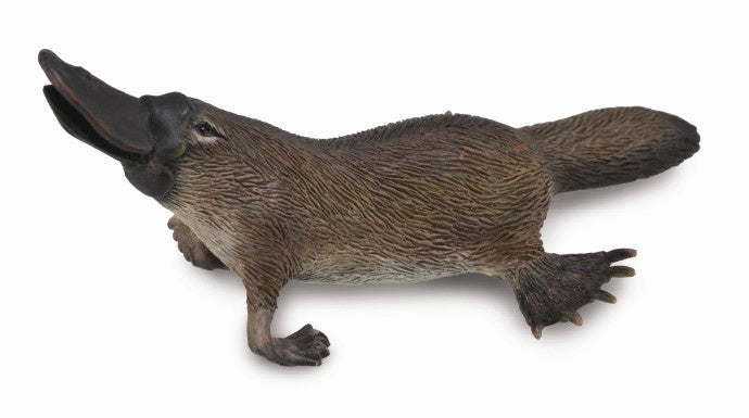 CollectA - Australian - Platypus