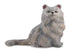 CollectA - Cat - Persian Cat - Sitting