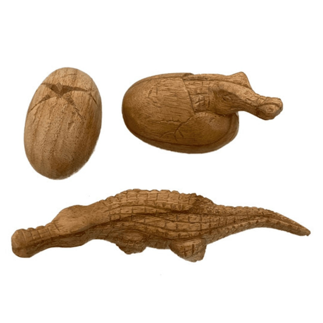 PAPOOSE - Crocodile Life Cycle - Wooden Figures - 3 pc