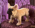 FOLKMANIS Little Dog, French Bulldog