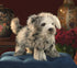 FOLKMANIS HAND PUPPETS Dog, Puppy Shih Tzu