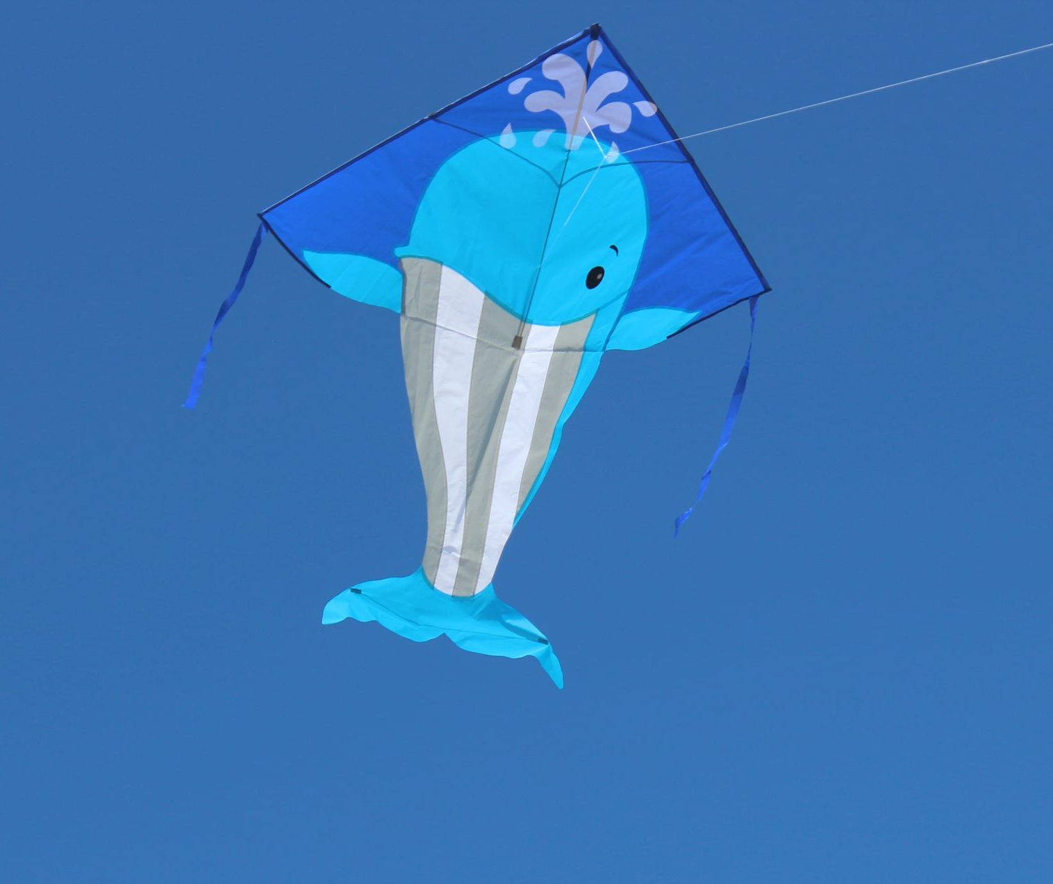 High as a Kite - Whale Kite