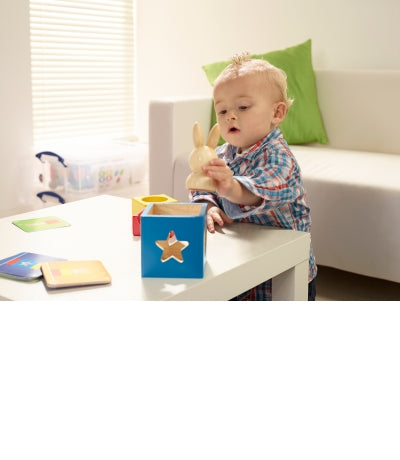 SMART GAMES - Bunny Peek a Boo - Logical Processing - Single Player