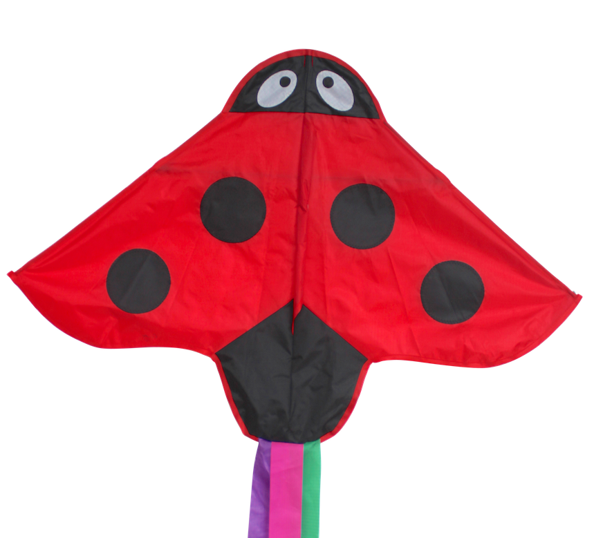 High as a Kite - Ladybird Kite