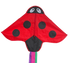 High as a Kite - Ladybird Kite