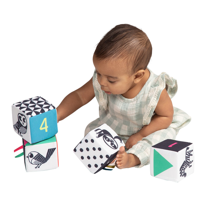 Wimmer Ferguson Mind Cubes - Fabric Blocks