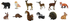 CollectA - Wildlife - Woodland - Set A - Set of 12