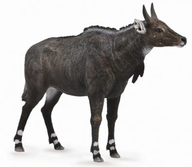 CollectA-Asia-Nilgai