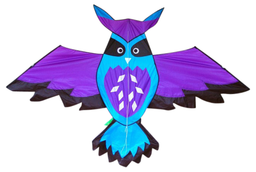 High as a Kite -  Owl Kite