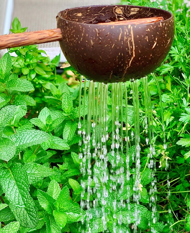 Papoose Coconut Sieve/2pc