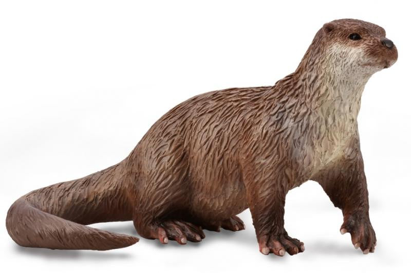 CollectA - Wildlife Common Otter