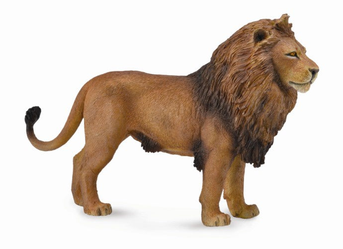 CollectA - Wildlife - Lion African