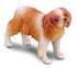 CollectA - Dog - Cavalier King Charles Spaniel