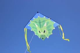 High as a Kite - Triceratops Dinosaur Kite