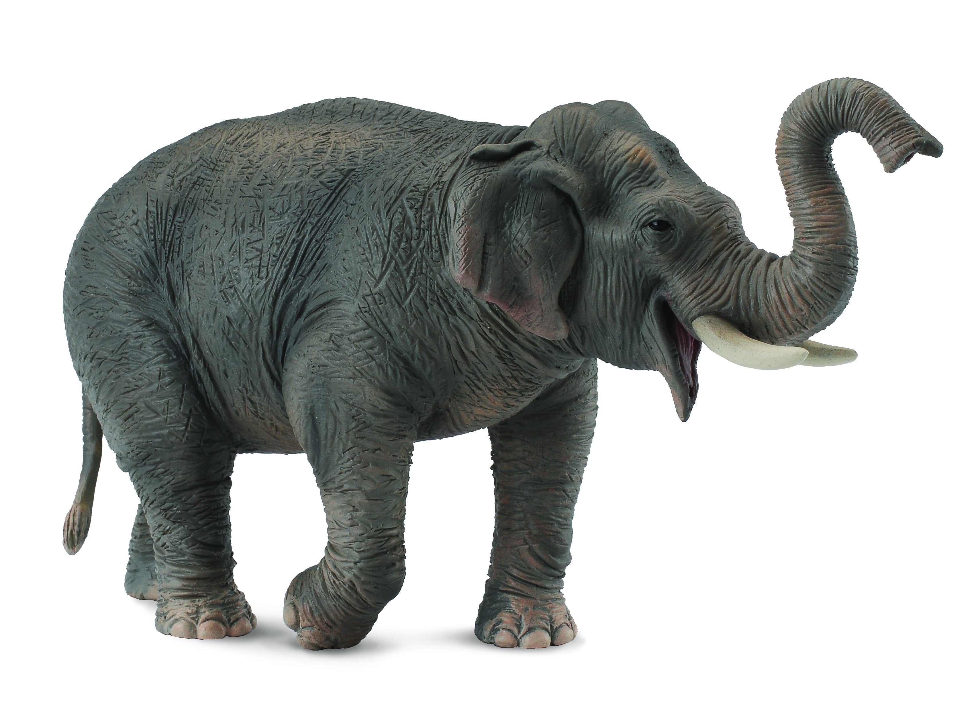 CollectA - Wildlife - Asian Elephant