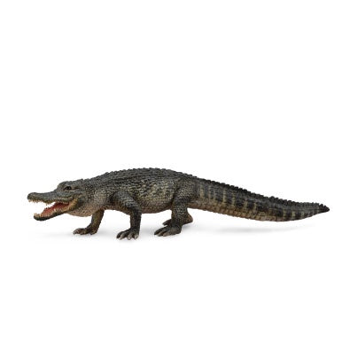 CollectA - Wildlife - American Alligator