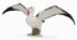 CollectA - Ocean & Polar - Wandering Albatross