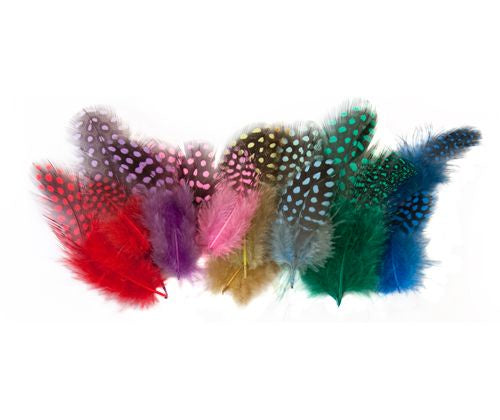 Guinea Fowl Feathers 10g Asst 100’s