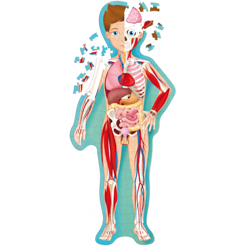 Sassi Travel, Learn and Explore - The Human Body Puzzle 200pc