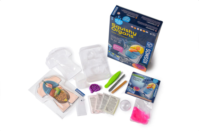 THAMES & KOSMOS Make-Your-Own Squishy Human Body