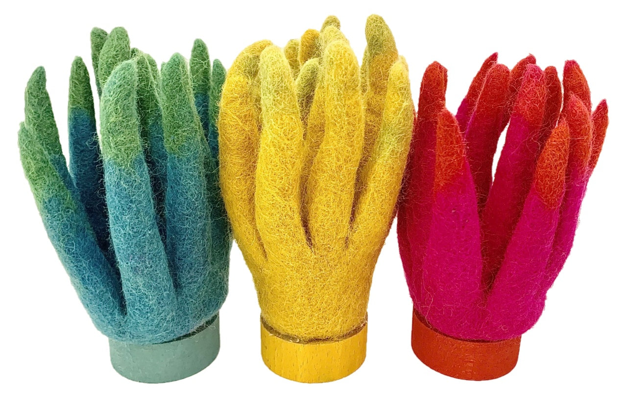 PAPOOSE - Buddhas Corals - 3 pc - Felt